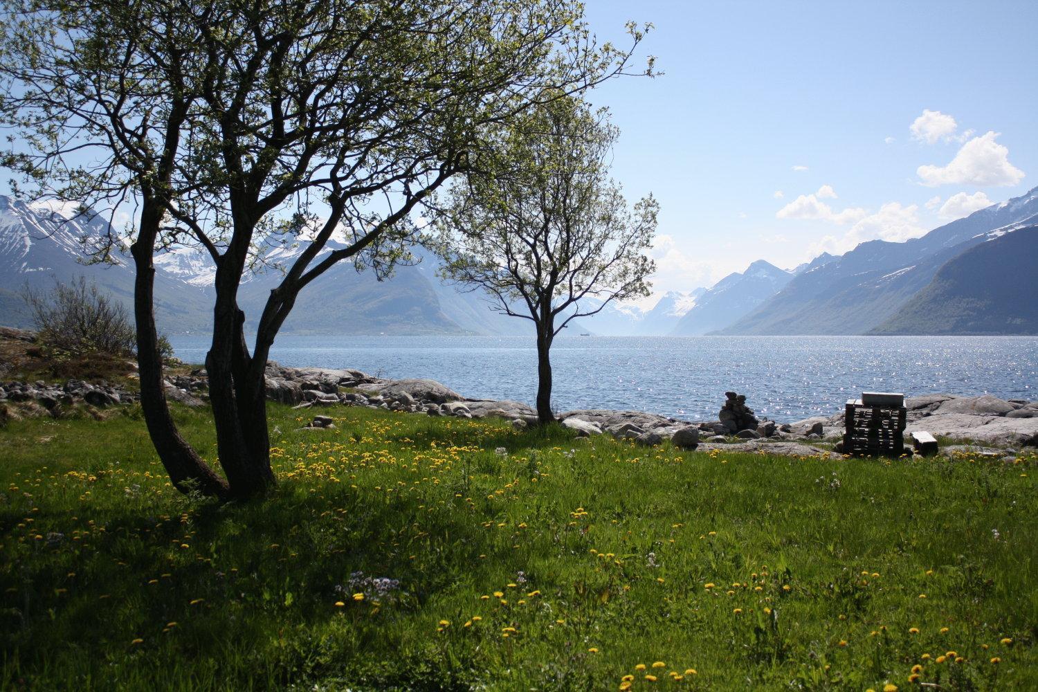 Sunde Fjord Hotel, Free And Easy Parking Solavagen المظهر الخارجي الصورة